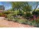 Backyard garden with colorful flowers, desert landscaping, and tranquil seating areas, creating a peaceful retreat at 318 E Concorda Dr, Tempe, AZ 85282