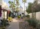 Lush courtyard featuring mature landscaping and white stucco walls at 5101 N Casa Blanca Dr # 335, Paradise Valley, AZ 85253