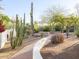 Beautifully landscaped yard with desert plants and a brick pathway at 5101 N Casa Blanca Dr # 335, Paradise Valley, AZ 85253