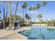 Inviting outdoor pool area with palm trees and lounge chairs at 5101 N Casa Blanca Dr # 335, Paradise Valley, AZ 85253