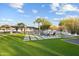 Backyard with a pool, spa, lounging areas, palm trees and grass pavers, creating a serene retreat at 5601 E Caballo Dr, Paradise Valley, AZ 85253