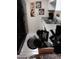 Kitchen with a stainless steel sink and coffee-themed decor on the wall at 8649 E Royal Palm Rd # 213, Scottsdale, AZ 85258