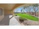 A spacious backyard with lush green grass and mature trees at 2050 N 144Th Dr, Goodyear, AZ 85395