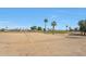 Expansive desert golf course with mature palm trees and arid landscaping under a bright blue sky at 2050 N 144Th Dr, Goodyear, AZ 85395