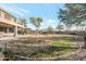 Large backyard with lush green grass and well-maintained landscaping at 21613 N Sunset Dr, Maricopa, AZ 85139