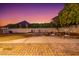 Backyard with hardscape, seating area, grill and fruit tree at 2458 E Melrose St, Mesa, AZ 85213