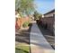 Well-maintained walking path surrounded by lush landscaping and flowering bushes at 808 E Constance Way, Phoenix, AZ 85042