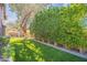Backyard features artificial turf, mature trees, stone border, and privacy fence with a blue sky above at 10490 E Dreyfus E Ave, Scottsdale, AZ 85260