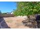 Secluded backyard featuring a mature tree and desert landscaping at 18051 N 88Th Dr, Peoria, AZ 85382