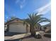 Inviting single-story home featuring desert landscaping and a large palm tree at 18051 N 88Th Dr, Peoria, AZ 85382