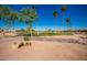 Well-designed golf course showcasing manicured fairways, tall palm trees, and stone features enhancing the natural beauty at 1822 N 164Th Dr # 58, Goodyear, AZ 85395