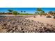 Artistic landscaping blending rocks and desert plants, creating a harmonious transition between nature and the surrounding environment at 1822 N 164Th Dr # 58, Goodyear, AZ 85395