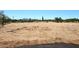 Expansive desert landscape showcases the natural beauty of the vacant lot and the distant mountains in the background at 28282 N 158Th St, Scottsdale, AZ 85262