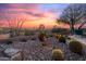 Beautiful backyard landscape with desert foliage and mountain views at sunset at 41711 N Pinion Hills Ct, Anthem, AZ 85086