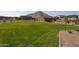 Expansive backyard with lush green grass and mountain views creates a serene outdoor space at 4238 W Brenley W Dr, San Tan Valley, AZ 85144