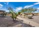 Well-maintained backyard featuring desert landscaping and a paver walkway at 9952 W Jessie Ln, Peoria, AZ 85383