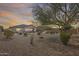 Expansive backyard featuring desert landscaping and a mature tree at 9952 W Jessie Ln, Peoria, AZ 85383