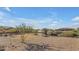 Community park showcasing desert landscape and covered seating area with picnic tables under a bright blue sky at 12686 E Pivot Peak --, Gold Canyon, AZ 85118