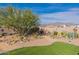 Expansive backyard showcasing desert landscaping with a turf area and views of the mountains at 12792 E Crystal Forest --, Gold Canyon, AZ 85118