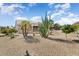 Lovely backyard featuring desert landscaping, including cacti, bushes, and views of the covered patio at 15542 W Cypress Point Dr, Surprise, AZ 85374