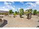 Desert landscaping with a variety of plants and cacti, providing privacy and natural beauty to the home at 15542 W Cypress Point Dr, Surprise, AZ 85374