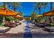 Stunning community pool area featuring palm trees and comfortable lounge seating with shaded umbrellas at 1805 E Atole Pl, Queen Creek, AZ 85140