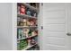 Organized pantry with ample shelving providing generous storage for food and household items at 18400 E Donato Dr, Gold Canyon, AZ 85118