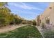 Backyard with fresh green lawn, desert landscaping, and mountain views beyond the perimeter wall at 24019 N 112Th Pl, Scottsdale, AZ 85255