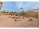 Spacious backyard features desert landscaping with rock accents, mature trees, and privacy fencing at 3287 N 197Th Ln, Buckeye, AZ 85396