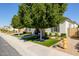 Quaint home featuring manicured landscaping, mature trees, and a charming brick and stucco facade at 4191 S Emerald Dr, Chandler, AZ 85249