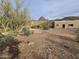 Exterior showcasing the desert home nestled in a natural setting with native landscaping at 46312 N 38Th Ave, New River, AZ 85087