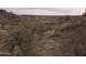 Picture of desert landscape with desert vegetation and houses in the background at 46312 N 38Th Ave, New River, AZ 85087