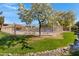 Beautifully landscaped community pool area with a blooming tree in the foreground at 5848 W Gelding Dr, Glendale, AZ 85306