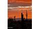 Beautiful desert scene featuring silhouetted cacti against a vibrant sunset sky at 10401 N Saguaro Blvd # 104, Fountain Hills, AZ 85268