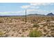 Desert landscape with mountains and beautiful blue sky at 10401 N Saguaro Blvd # 104, Fountain Hills, AZ 85268