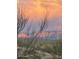 Mountains are silhouetted as the sun rises over the valley at 10401 N Saguaro Blvd # 104, Fountain Hills, AZ 85268