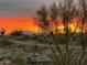 Picturesque sunset with desert views at 10401 N Saguaro Blvd # 104, Fountain Hills, AZ 85268