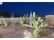 Backyard desert landscaping features varied cacti and gravel groundcover, illuminated at night at 10951 E Mirasol Cir, Scottsdale, AZ 85255