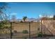 Scenic neighborhood view through an iron fence showing grass, trees and distant mountains at 17801 W Mountainair St, Surprise, AZ 85388