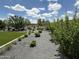 Landscaped backyard featuring decorative gravel, desert plants, an artificial lawn, and lush trees under a bright, partly cloudy sky at 17801 W Mountainair St, Surprise, AZ 85388