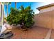 Landscaped backyard featuring a beautiful green tree and a decorative rock wall at 6777 S Four Peaks Way, Chandler, AZ 85249