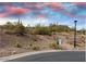 Desert hillside landscape with native plants, rocks, and walking trail at 9537 E Flint Dr, Gold Canyon, AZ 85118