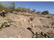 Scenic hiking trail winding through the desert landscape with native cactus and vegetation under a clear blue sky at 9537 E Flint Dr, Gold Canyon, AZ 85118