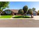 Charming single-story home featuring a well-manicured lawn and unique tree landscaping at 2237 N Kachina --, Mesa, AZ 85203