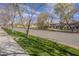 Quiet street with grass and trees that faces lovely townhomes at 2673 S Balsam Dr, Gilbert, AZ 85295