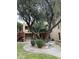 Lush courtyard area with mature trees, offering a tranquil outdoor space for residents at 3131 W Cochise Dr # 157, Phoenix, AZ 85051