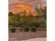 Desert backyard view with colorful sunset and black metal fence at 42429 N Cross Timbers Ct, Anthem, AZ 85086