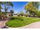 Lush green backyard with mature trees and shrubs, surrounded by well-maintained gravel landscaping at 4529 S Granite St, Gilbert, AZ 85297