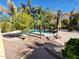 Backyard area with a freeform pool, mature palm trees, gravel landscaping, and a shaded patio area at 4529 S Granite St, Gilbert, AZ 85297