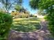 Expansive backyard featuring lush green grass and mature landscaping, perfect for outdoor activities at 4529 S Granite St, Gilbert, AZ 85297